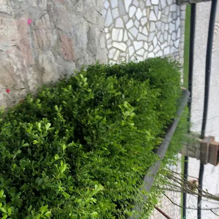 Tenuta Acquaviva Apartment Pratola Serra