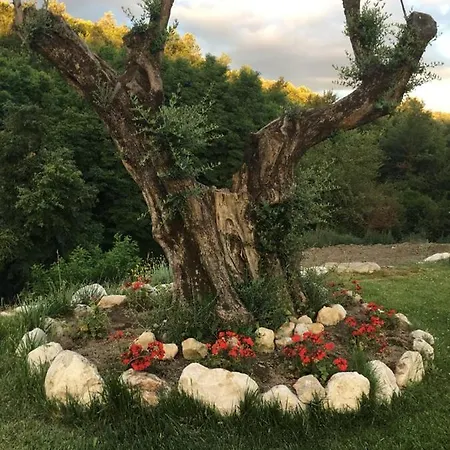 Tenuta Acquaviva Apartment